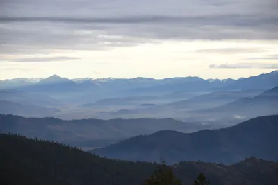 DSC_0095 (Large).JPG